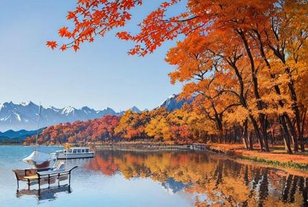 新疆15天旅游费用