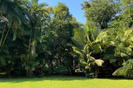 西双版纳旅游攻略 勐仑植物园