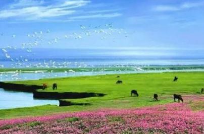 鄱阳湖读bo还是po，鄱字读音是po(是中国最大的淡水湖)