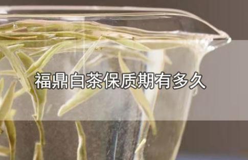 福鼎白茶保质期有多久