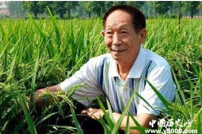 关于袁隆平生平简介(袁隆平的生平简介和成就)