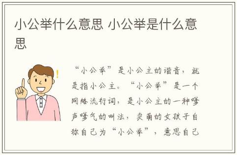 小公举什么意思 小公举是什么意思