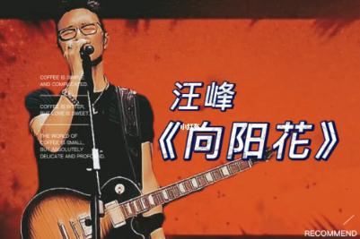 汪峰的《向阳花》 歌词