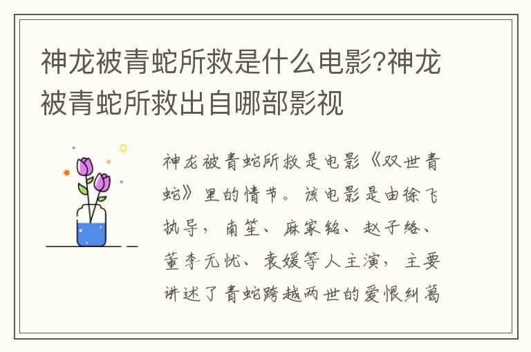 杉杉来了杉杉生孩子是第几集 杉杉来了杉杉生孩子没