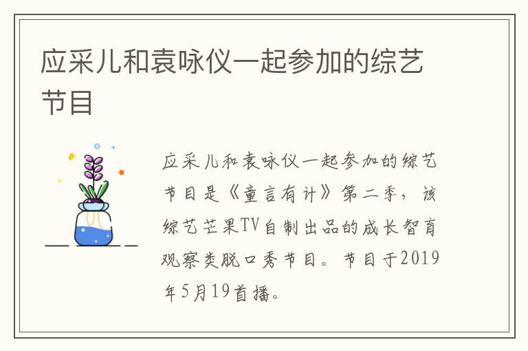 应采儿和袁咏仪一起参加的综艺节目