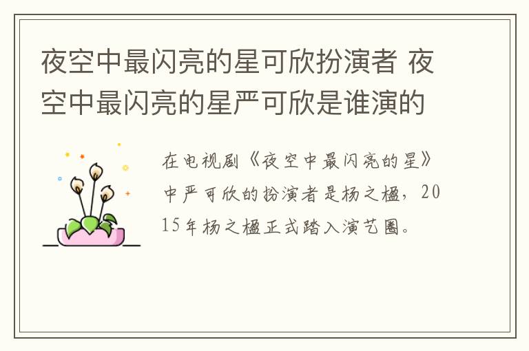 夜空中最闪亮的星可欣扮演者 夜空中最闪亮的星严可欣是谁演的