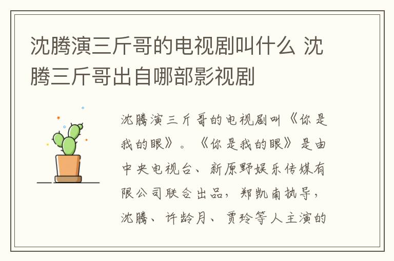 沈腾演三斤哥的电视剧叫什么 沈腾三斤哥出自哪部影视剧