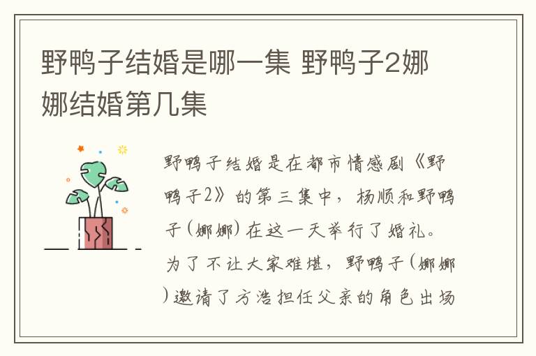野鸭子结婚是哪一集 野鸭子2娜娜结婚第几集