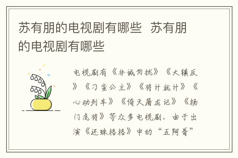 苏有朋的电视剧有哪些  苏有朋的电视剧有哪些