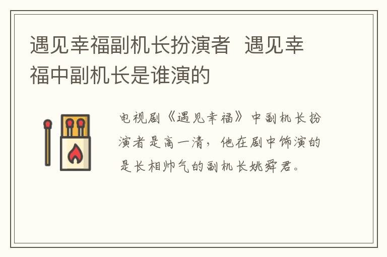 遇见幸福副机长扮演者  遇见幸福中副机长是谁演的