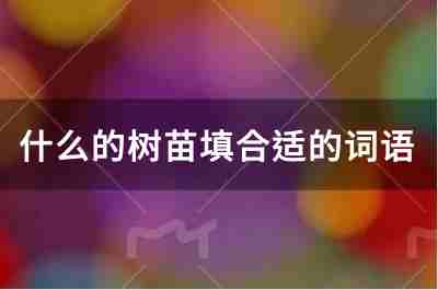 什么的树苗填合适的词语有哪些