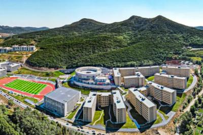 大连东软信息学院怎么样