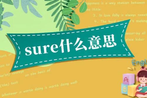 sure是什么意思，sure的意思是