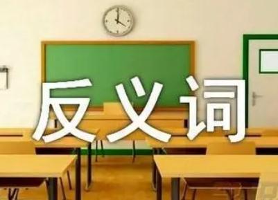 关心的反义词