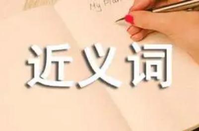 特别的近义词