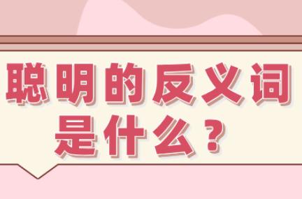 聪明的反义词是什么