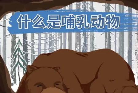 哺乳动物是什么意思?哺乳动物是什么意思解释