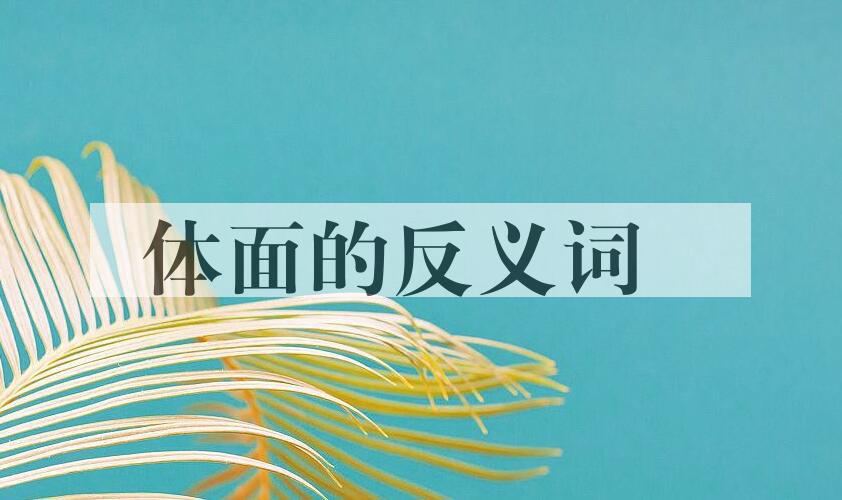 体面的反义词 体面的反义词是什么