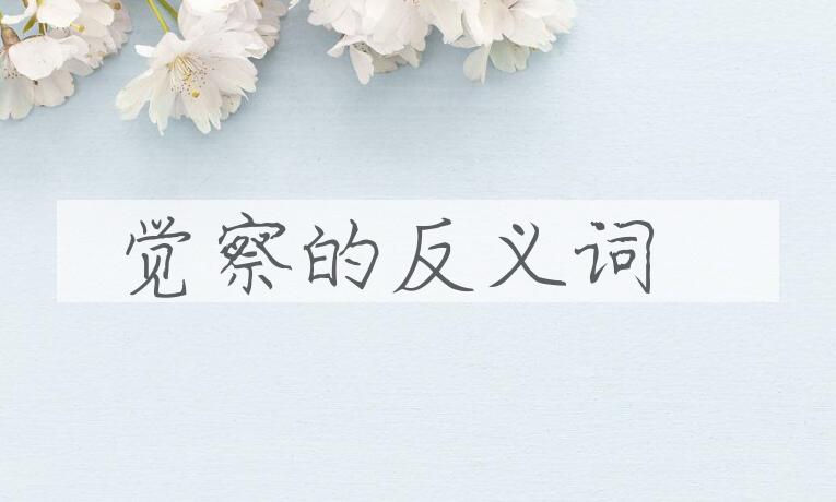 用觉察造句