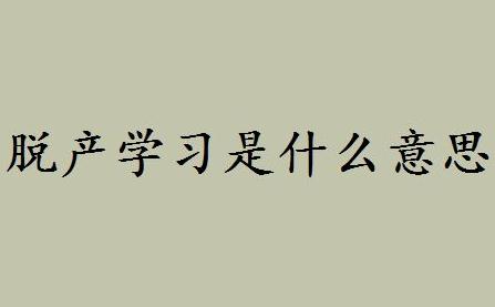 脱产学习是什么意思