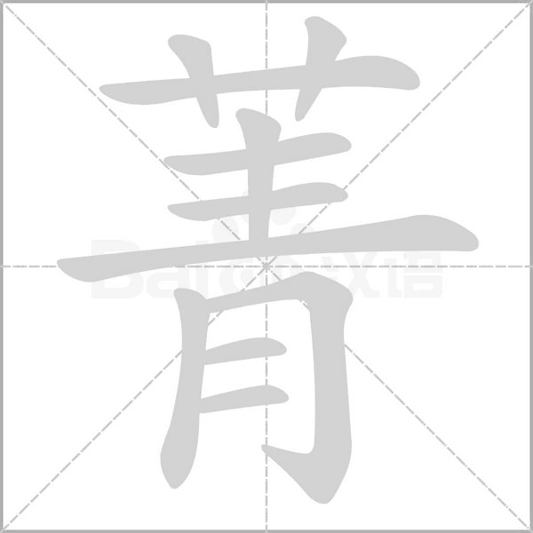 菁念什么字