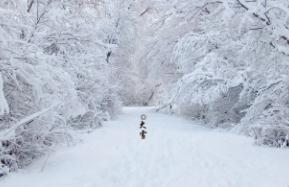 下大雪了的英语怎么说  下大雪了的英语怎么说怎么写