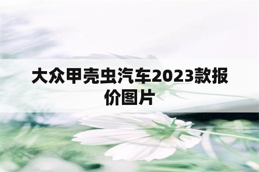 大众甲壳虫汽车2023款报价图片 - 私宠百克 