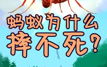 蚂蚁从高处掉下来为什么摔不死(为什么蚂蚁摔不死)