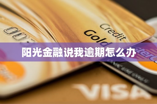 阳光金融说我逾期怎么办