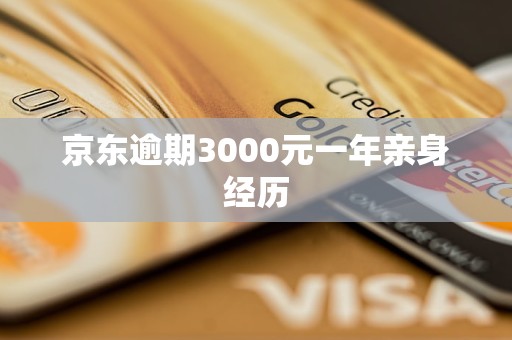 京东逾期3000元一年亲身经历