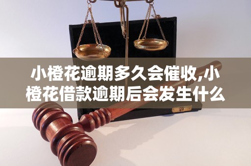 小橙花逾期多久会催收,小橙花借款逾期后会发生什么
