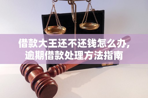 借款大王还不还钱怎么办,逾期借款处理方法指南