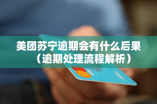 美团苏宁逾期会有什么后果（逾期处理流程解析）