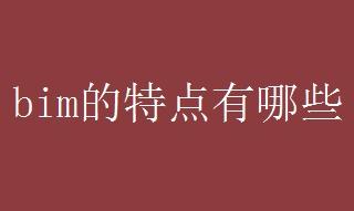 bim的特点有哪些