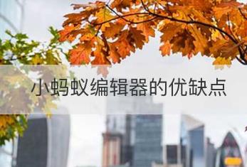 小蚂蚁编辑器的优缺点