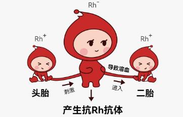 新生儿溶血症是什么意思 新生儿溶血症是什么意思啊