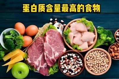 蛋白质高的食物有哪些