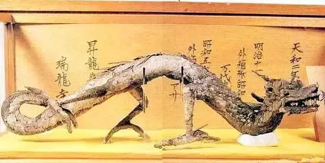 2亿年前是哪个朝代?朝代名称有五个来由