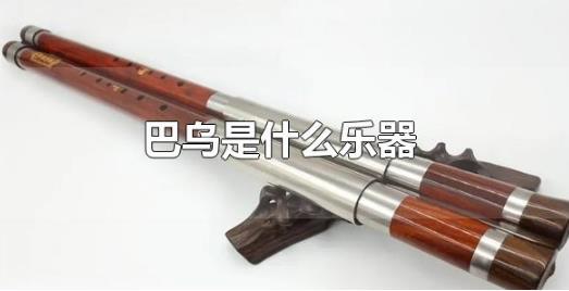 巴乌是什么乐器 巴乌是那个民族的乐器