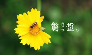 月夜反映的节气是指的什么时候(诗词鉴赏之刘方平的月夜)