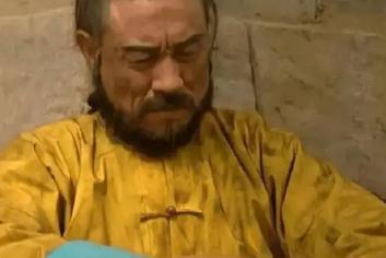 年羹尧被满门抄斩了吗?雍正为什么杀年羹尧?
