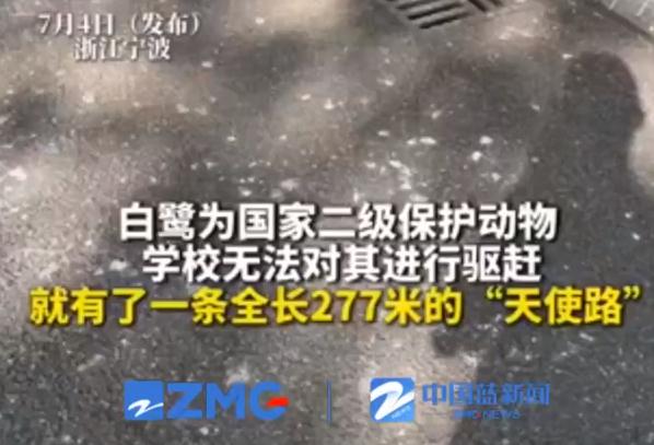 私宠百克