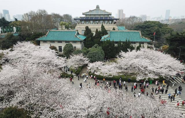 985大学全部排名，揭晓：顶尖学府最新座次排定