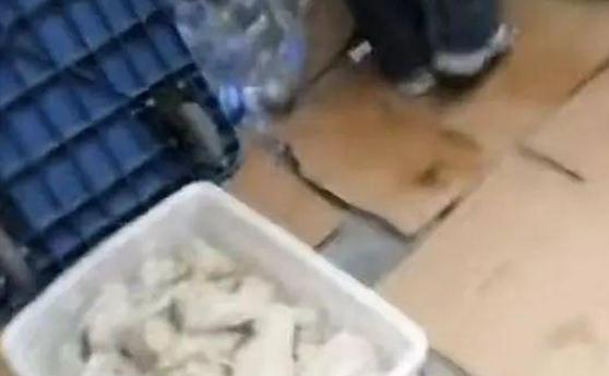 网络图片
